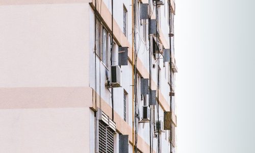 florencia-potter-pK0J0kFTiz8-unsplash florencia-potter-pK0J0kFTiz8-unsplash