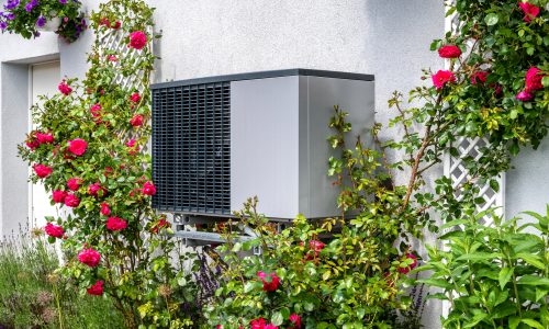 Outdoor unit of heat pump heating of residential house framed by roses outdoor unit of a heat pump heating system surrounded by flowers