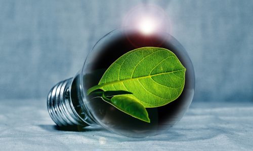 lightbulb-gcdc88107e_1920 Environmental friendly energy