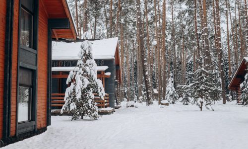 pexels-mikhail-nilov-6530841 snow covered houses