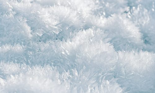 simon-berger-dsjiZZnjfLU-unsplash simon-berger-dsjiZZnjfLU-unsplash